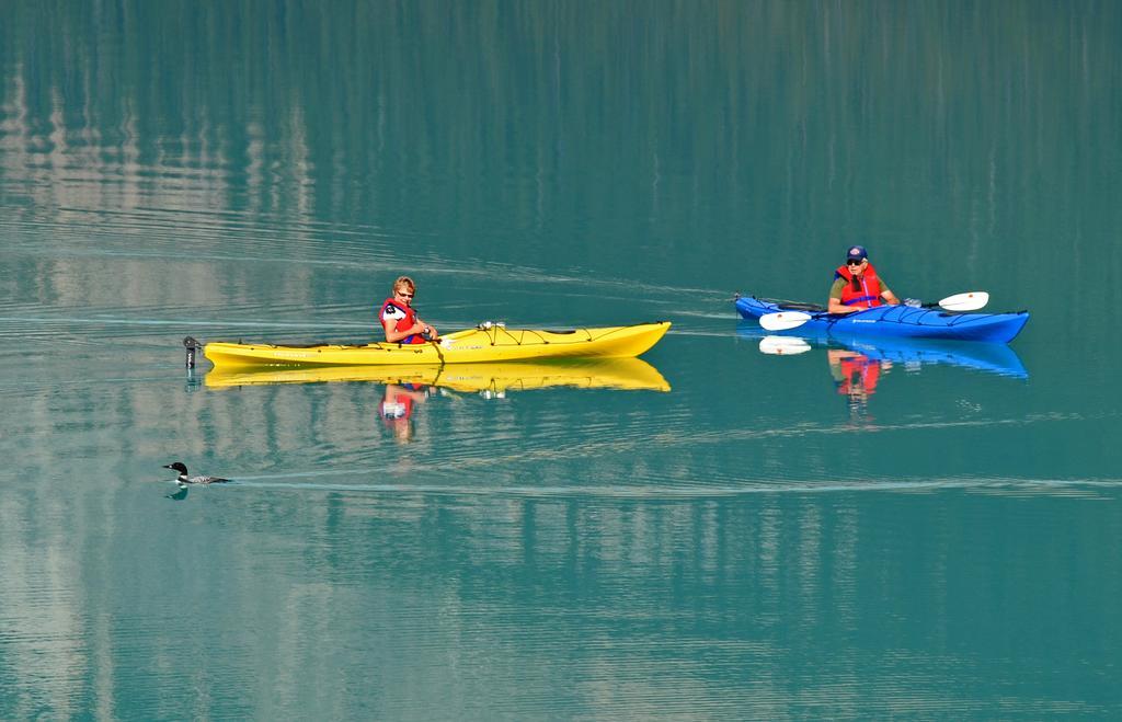 Canadian Rockies Inn - Adults Only Field Eksteriør bilde